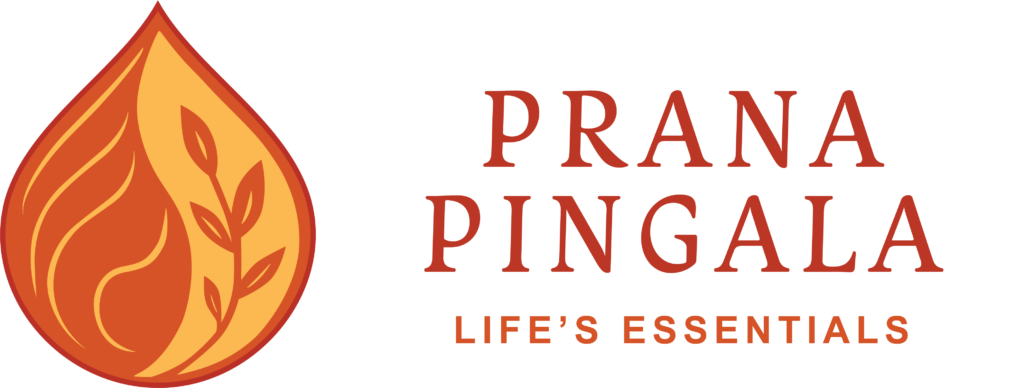 prana pingala logo horizontal transparent
