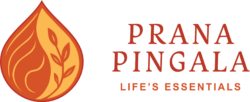 prana pingala logo horizontal transparent